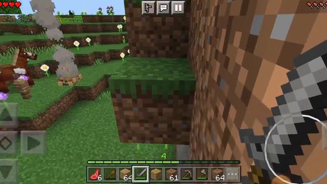 сестра им аин.