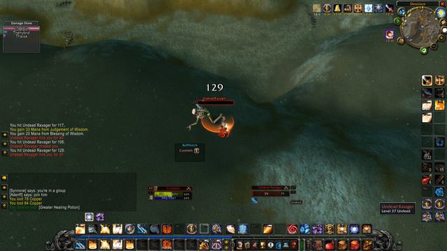 Vanilla Protection Paladin Randomness In Desolace