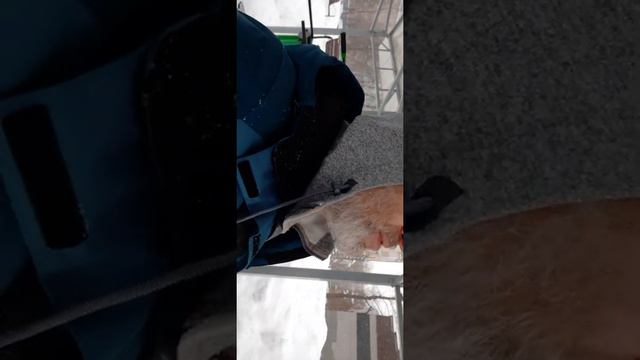 Тема:::: Правдарубы !!!! 28.01.2022г. Сергей Давидов смотреть онлайн