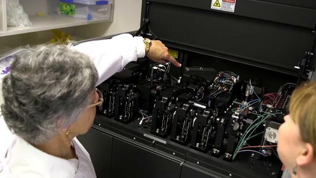 Professor Wendy Erber, Dr Kathryn Fuller and Henry Hui - WINNER, 2018 Eureka Prizes смотреть онлайн