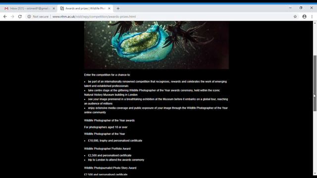 best photo of the year || wildlife photography || photo can earn money || смотреть онлайн