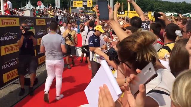 Felipe Nasr On Red Carpet Autograph Session Hungaroring 2016