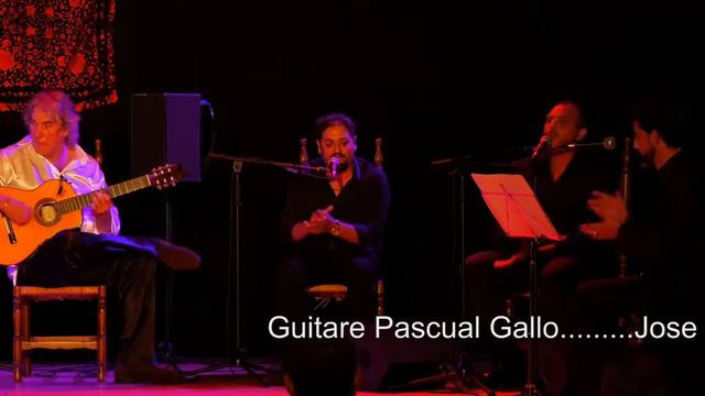 Pascual Gallo - Festival Andalou 2017 De Saint Jean De Luz 3