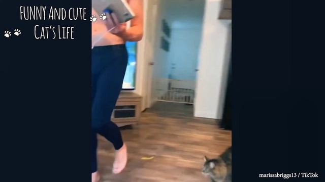 Cute baby animals Videos Compilation cute moment of the animals - Cutest Animals #2🔥 смотреть онлайн