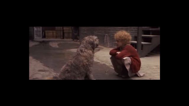 Perro tonto.wmv смотреть онлайн