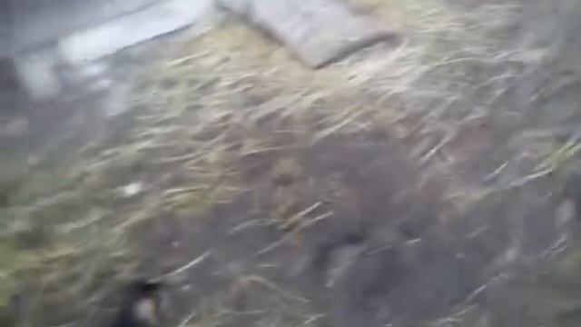 Iruška první hodinu doma смотреть онлайн