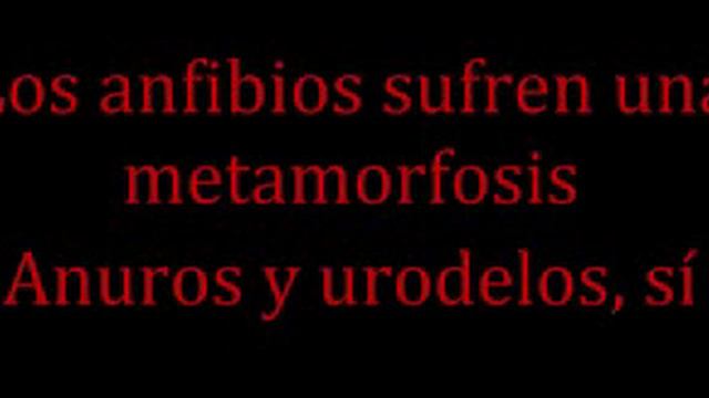 ALFONSO COTTA ANIMALS ' SONG