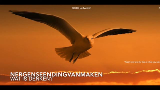 Nergens een ding van maken - Wat is denken? Talk 4 смотреть онлайн