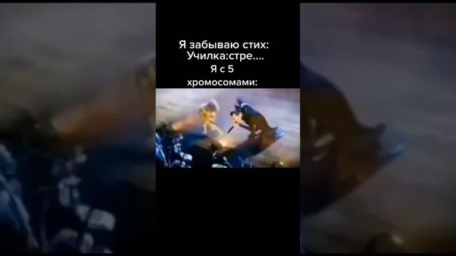 мем смотреть онлайн