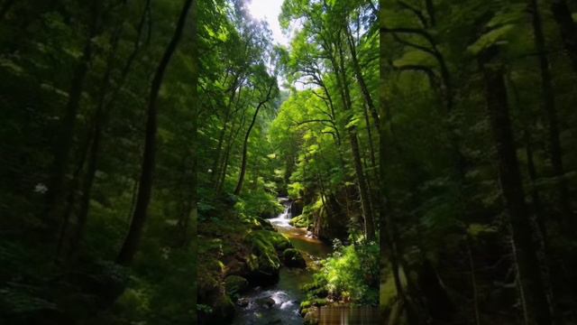 Лес. смотреть онлайн
