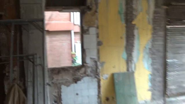 Pintor Tapiro смотреть онлайн