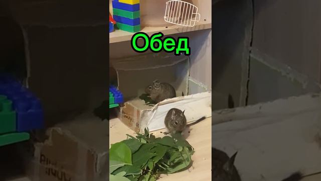 Завтрак Обед И Ужин смотреть онлайн