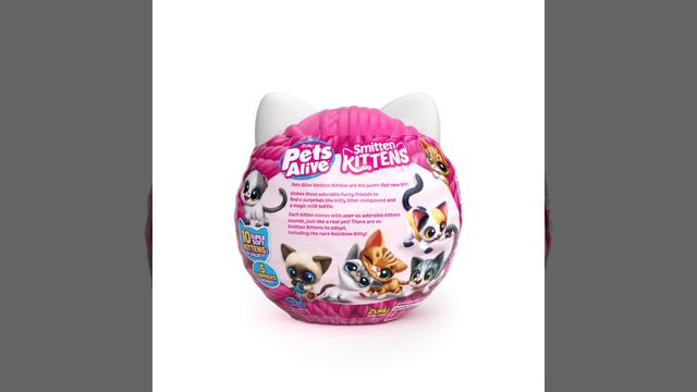 Pets Alive_Simitten Kittens_20220630 9541 смотреть онлайн