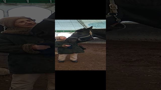 VID_20220306_160954 смотреть онлайн