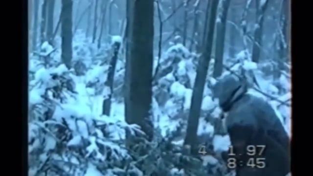 По Некрасова крестьянские дети смотреть онлайн