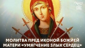 МОЛИТВА ПРЕД ИКОНОЙ БОЖИЕЙ МАТЕРИ «УМЯГЧЕНИЕ ЗЛЫХ СЕРДЕЦ»