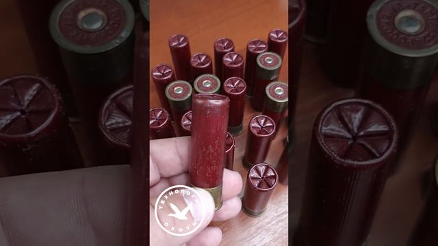 Лучший патрон 2003г Тайга 12 калибра #hunting #охота #оружие #hunter смотреть онлайн