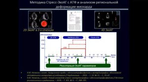 ЭхоКГ в выявлении ишемии при отсутствии значимого поражения магистральных коронарных артерий.