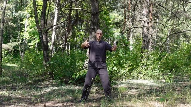 Цигун на природе