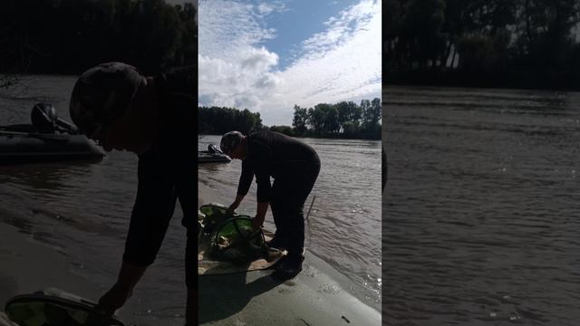 Хорошо порыбачил. Улов за два дня. смотреть онлайн