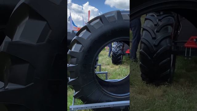 День поля 2024 - Алтайский край #сельскоехозяйство #agriculturelife смотреть онлайн