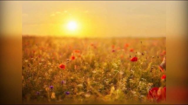 Խոստովանություն смотреть онлайн