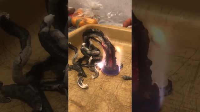 Опыт 1 .  змеи