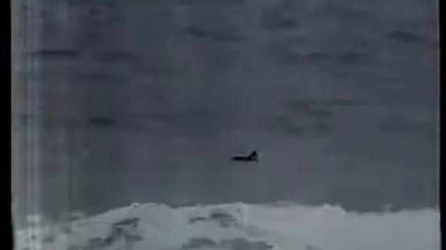 Hang Loose Pro Joaquina 1988 Brian Mc Nulty X Barton Lynch - entrevista Teco Padaratz смотреть онлайн