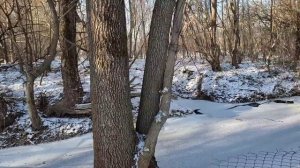 Очищаем берег. Покрасили котельную. Большой подарок.