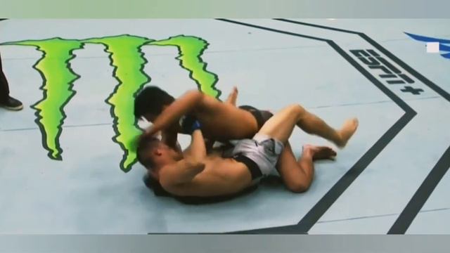 Cópia de UFC Fight Night 165 - Kyung Ho Kang vs Liu Pingyuan Round 1 смотреть онлайн
