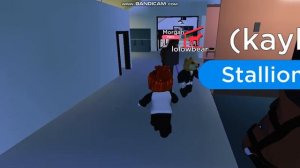 ROBLOX/Как быстро заработать монеты в игру лошадиная долина?