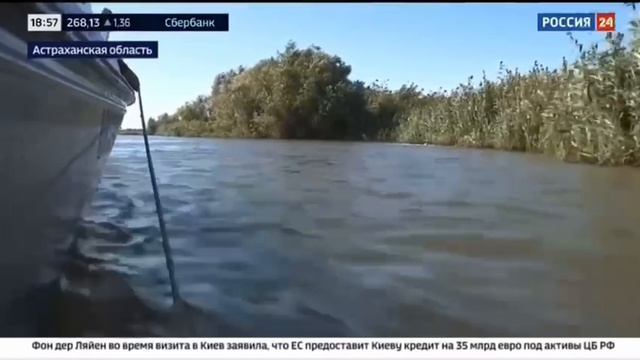 В Астраханской области продолжается осенний этап межведомственной операции "Путина-2024" смотреть онлайн