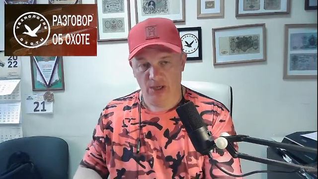 СТРИМ 24: Охота для новичка смотреть онлайн