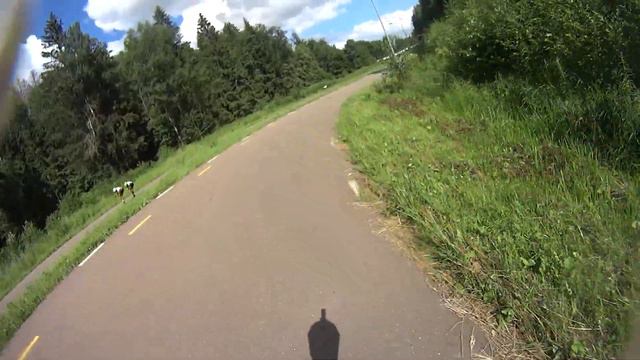 7 этап ФЛРД 2021 (заключительные этап сезона «ВЕСНА-ЛЕТО») гонка преследования , Обнинск, 03.07.2021 смотреть онлайн