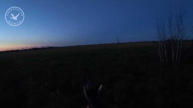 Охота на косулю. Ползём в мокрой траве смотреть онлайн