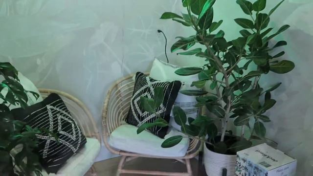 BUYING A WISHLIST PLANT!! + Big Box Store Plant Shopping Vlog смотреть онлайн