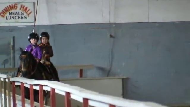 Shann Cox and Bracelet showing in SmallFry Pet Pony Class смотреть онлайн