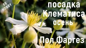 Посадка ( пересадка) КЛЕМАТИСА. 3-я группа обрезки. Пол Фаргез