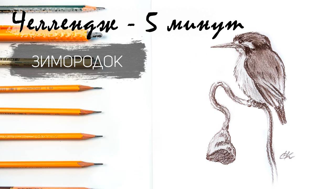 Птичка зимородок простым карандашом за 10 минут. Челлендж-пятиминутка. Рисуем регулярно смотреть онлайн