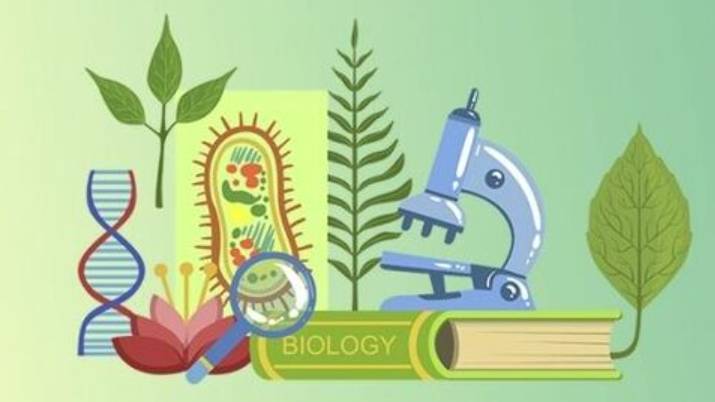 Биология 5 класс. Значение бактерий. смотреть онлайн