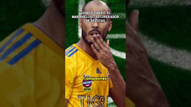 Guido Pizarro:el maravilloso recuperador de pelotas #ligamx #futbol #mexico #tigres #argentina смотреть онлайн