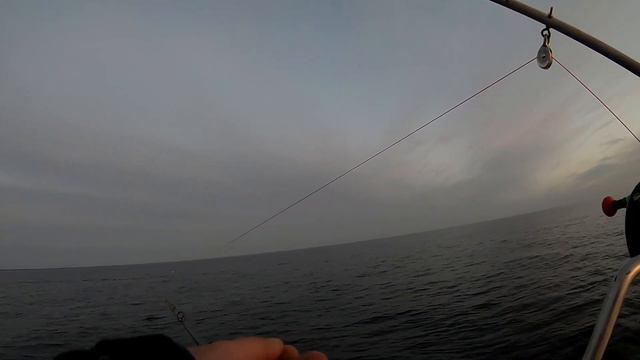 Как работать с планерной системой (корабликами) при троллинге. Пособие для новичков. смотреть онлайн