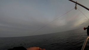 Как работать с планерной системой (корабликами) при троллинге. Пособие для новичков.