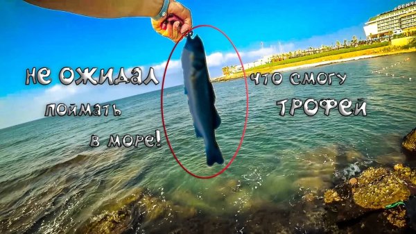 НЕ ОЖИДАЛ что смогу поймать ТРОФЕЙ в море! Турция