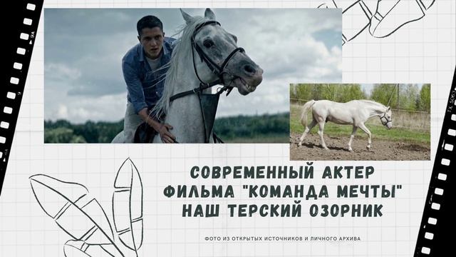 Терская порода. Чем знамениты терцы?