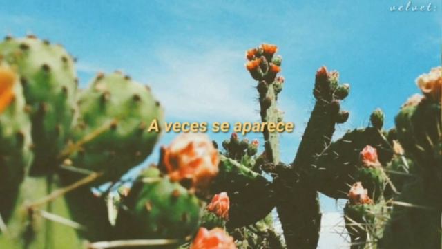 Y la Bamba - Ojos del Sol • Letra🌵 смотреть онлайн