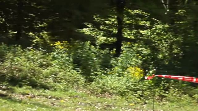 Rallye RAC Navarra 2010 | Eneko Zelaieta - Xabat Urresti смотреть онлайн