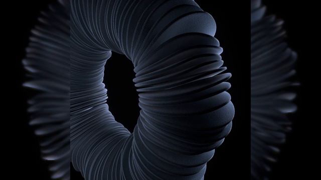 Sliced Torus