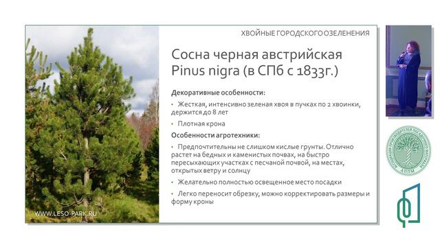 «Перспективный ассортимент хвойных для городского озеленения на северо-западе», Лесопарк Стеклянный смотреть онлайн