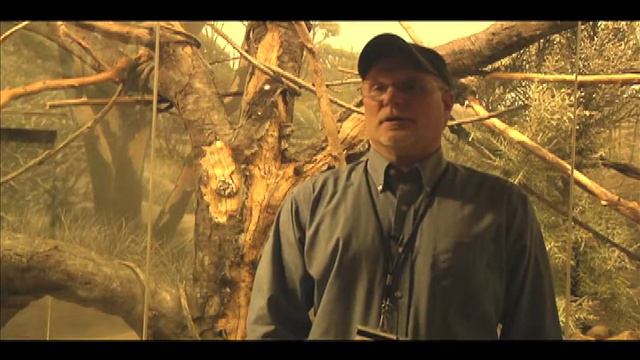 Henry Doorly Madagascar Research смотреть онлайн